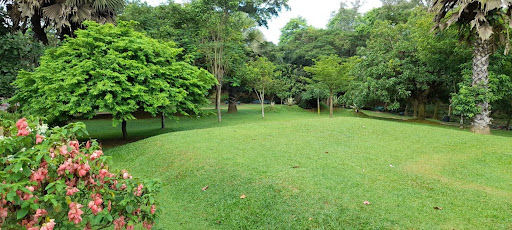 WhatsApp Image 2025-12-29 at 1.07.19 PM (3)