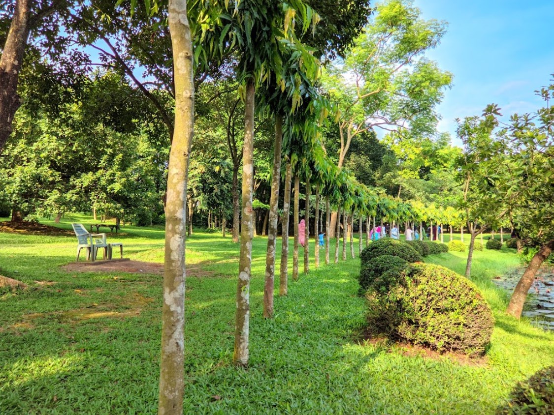 WhatsApp Image 2025-12-29 at 1.07.19 PM