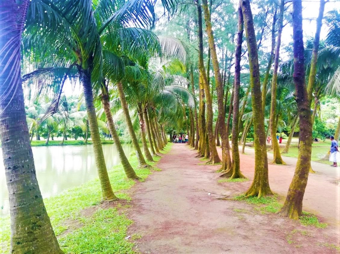 WhatsApp Image 2025-12-29 at 1.07.20 PM (1)