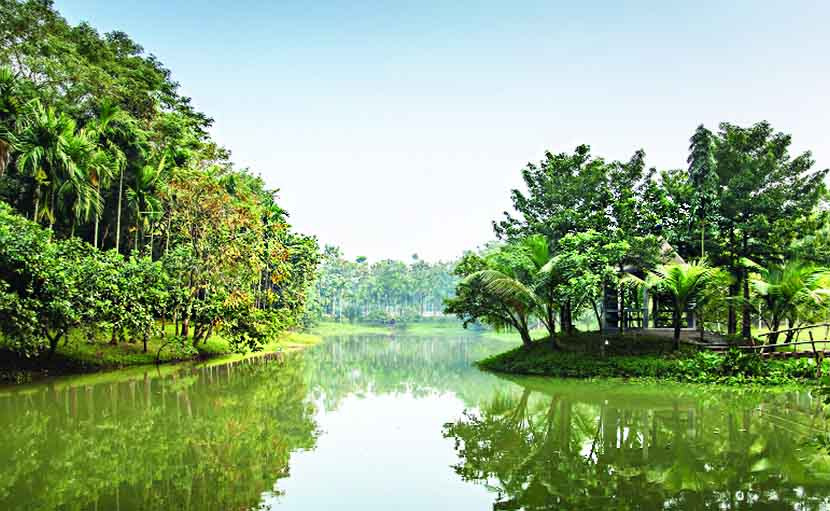 WhatsApp Image 2025-12-29 at 1.07.20 PM (2)