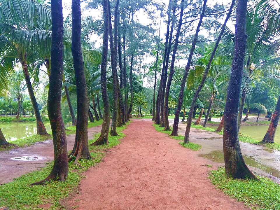 WhatsApp Image 2025-12-29 at 1.07.20 PM (4)